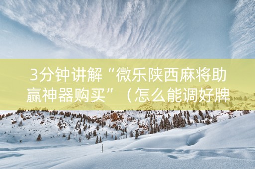 3分钟讲解“微乐陕西麻将助赢神器购买”（怎么能调好牌)