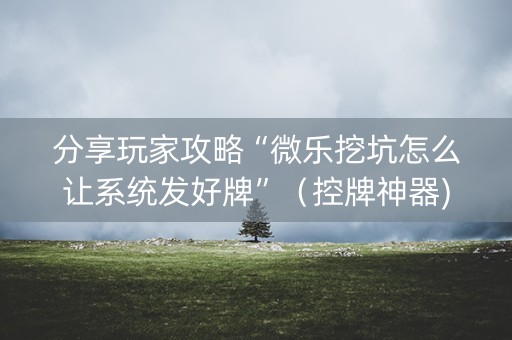 分享玩家攻略“微乐挖坑怎么让系统发好牌”（控牌神器)