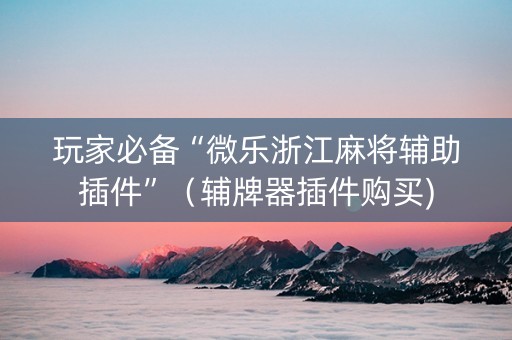 玩家必备“微乐浙江麻将辅助插件”（辅牌器插件购买)
