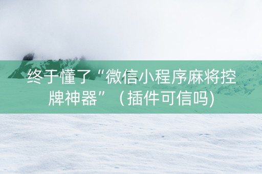 终于懂了“微信小程序麻将控牌神器”（插件可信吗)