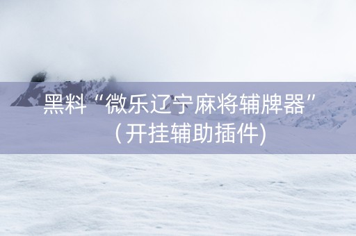 黑料“微乐辽宁麻将辅牌器”（开挂辅助插件)