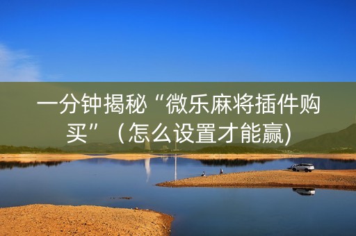 一分钟揭秘“微乐麻将插件购买”（怎么设置才能赢)