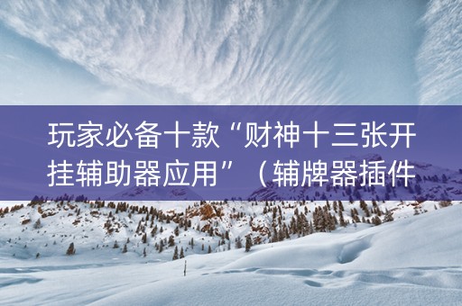 玩家必备十款“财神十三张开挂辅助器应用”（辅牌器插件购买)