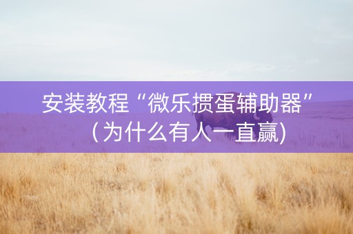 安装教程“微乐掼蛋辅助器”（为什么有人一直赢)