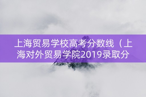 上海贸易学校高考分数线（上海对外贸易学院2019录取分数线）