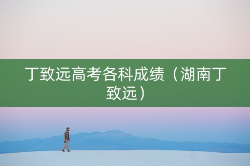 丁致远高考各科成绩（湖南丁致远）