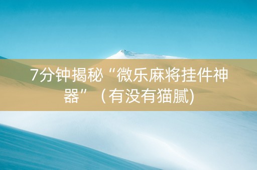 7分钟揭秘“微乐麻将挂件神器”（有没有猫腻)