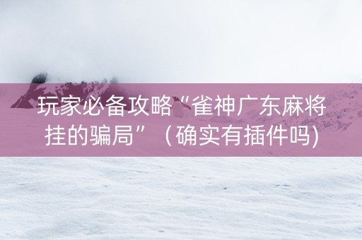 玩家必备攻略“雀神广东麻将挂的骗局”（确实有插件吗)