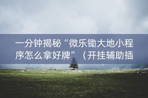 一分钟揭秘“微乐锄大地小程序怎么拿好牌”（开挂辅助插件)