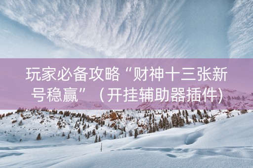 玩家必备攻略“财神十三张新号稳赢”（开挂辅助器插件)