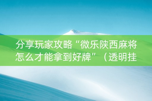 分享玩家攻略“微乐陕西麻将怎么才能拿到好牌”（透明挂辅助器)