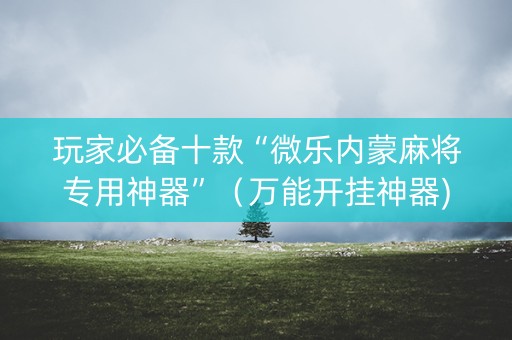 玩家必备十款“微乐内蒙麻将专用神器”（万能开挂神器)