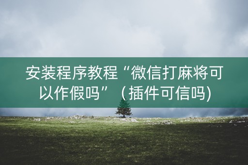 安装程序教程“微信打麻将可以作假吗”（插件可信吗)