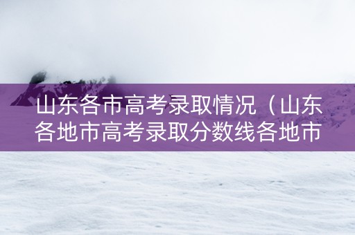 山东各市高考录取情况（山东各地市高考录取分数线各地市）