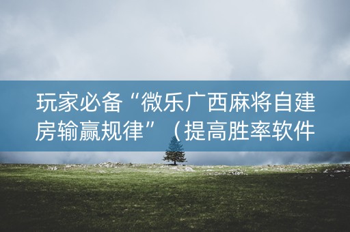 玩家必备“微乐广西麻将自建房输赢规律”（提高胜率软件)