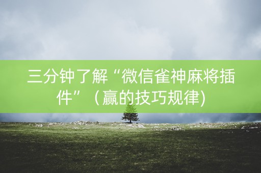 三分钟了解“微信雀神麻将插件”（赢的技巧规律)