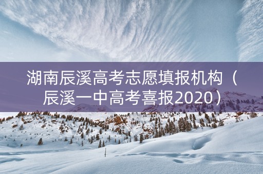 湖南辰溪高考志愿填报机构（辰溪一中高考喜报2020）