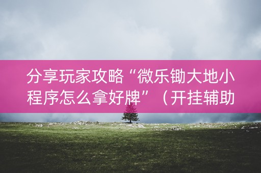 分享玩家攻略“微乐锄大地小程序怎么拿好牌”（开挂辅助插件)