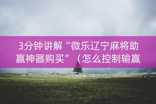 3分钟讲解“微乐辽宁麻将助赢神器购买”（怎么控制输赢)