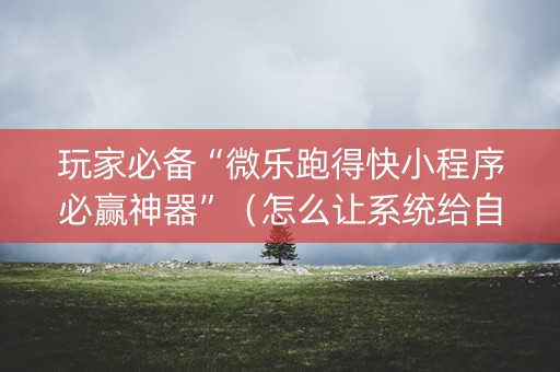 玩家必备“微乐跑得快小程序必赢神器”（怎么让系统给自己好牌)