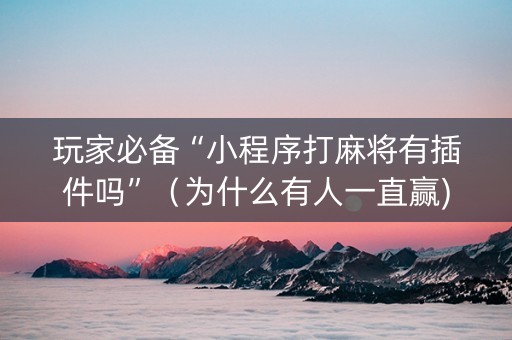 玩家必备“小程序打麻将有插件吗”（为什么有人一直赢)