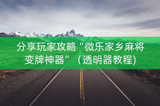 分享玩家攻略“微乐家乡麻将变牌神器”（透明器教程)