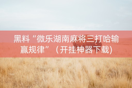 黑料“微乐湖南麻将三打哈输赢规律”（开挂神器下载)