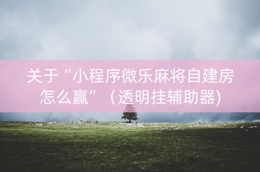 关于“小程序微乐麻将自建房怎么赢”（透明挂辅助器)