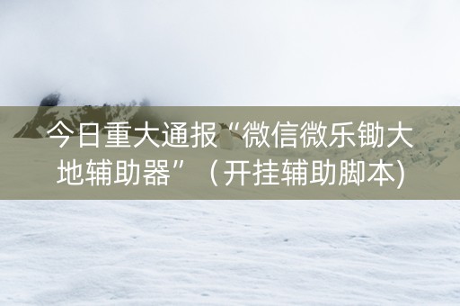 今日重大通报“微信微乐锄大地辅助器”（开挂辅助脚本)