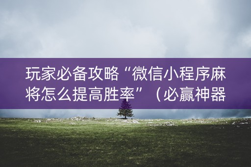 玩家必备攻略“微信小程序麻将怎么提高胜率”（必赢神器)