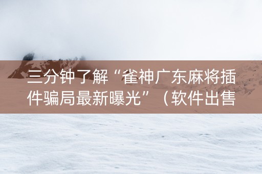 三分钟了解“雀神广东麻将插件骗局最新曝光”（软件出售)