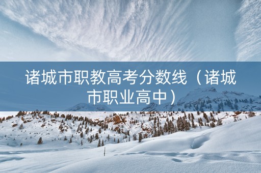 诸城市职教高考分数线（诸城市职业高中）