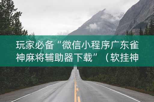 玩家必备“微信小程序广东雀神麻将辅助器下载”（软挂神器)