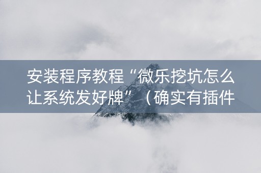 安装程序教程“微乐挖坑怎么让系统发好牌”（确实有插件吗)