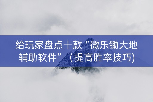 给玩家盘点十款“微乐锄大地辅助软件”（提高胜率技巧)