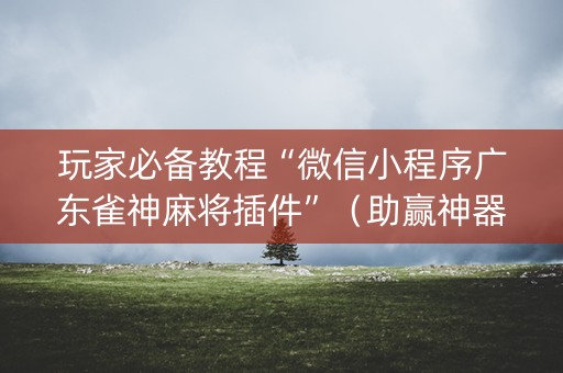 玩家必备教程“微信小程序广东雀神麻将插件”（助赢神器购买)