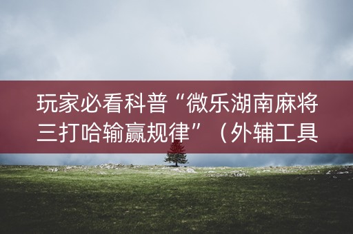 玩家必看科普“微乐湖南麻将三打哈输赢规律”（外辅工具)