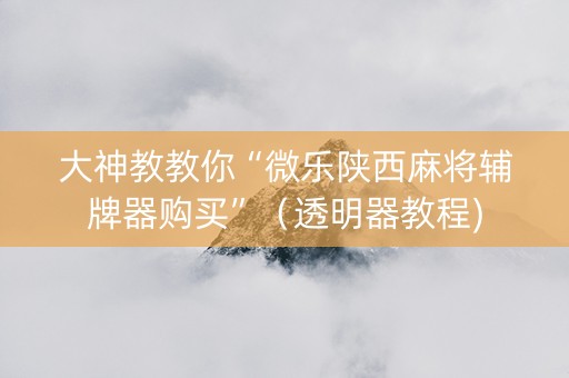 大神教教你“微乐陕西麻将辅牌器购买”（透明器教程)