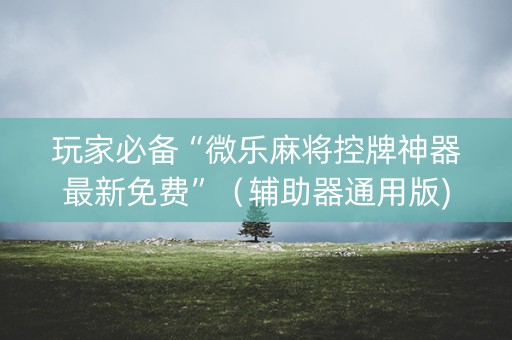 玩家必备“微乐麻将控牌神器最新免费”（辅助器通用版)