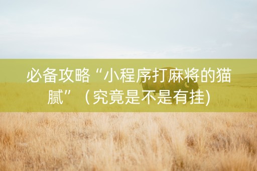 必备攻略“小程序打麻将的猫腻”（究竟是不是有挂)