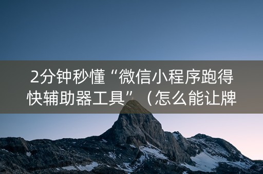 2分钟秒懂“微信小程序跑得快辅助器工具”（怎么能让牌好一点)