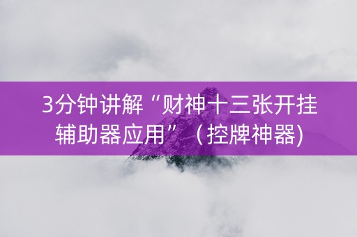 3分钟讲解“财神十三张开挂辅助器应用”（控牌神器)