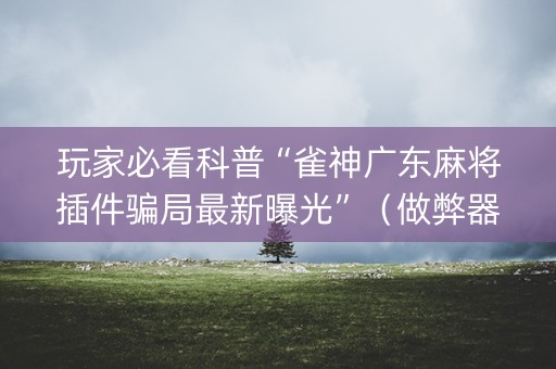 玩家必看科普“雀神广东麻将插件骗局最新曝光”（做弊器软件下载)