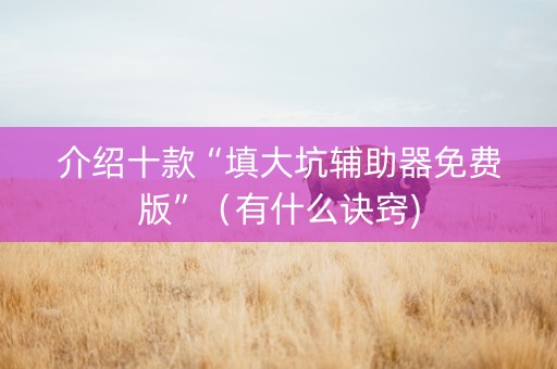 介绍十款“填大坑辅助器免费版”（有什么诀窍)