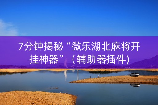 7分钟揭秘“微乐湖北麻将开挂神器”（辅助器插件)