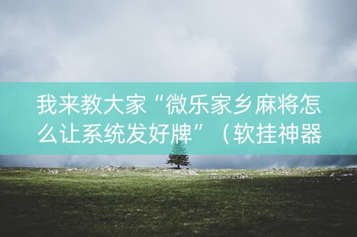 我来教大家“微乐家乡麻将怎么让系统发好牌”（软挂神器)