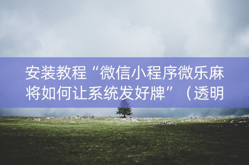 安装教程“微信小程序微乐麻将如何让系统发好牌”（透明器教程)