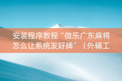 安装程序教程“微乐广东麻将怎么让系统发好牌”（外辅工具)