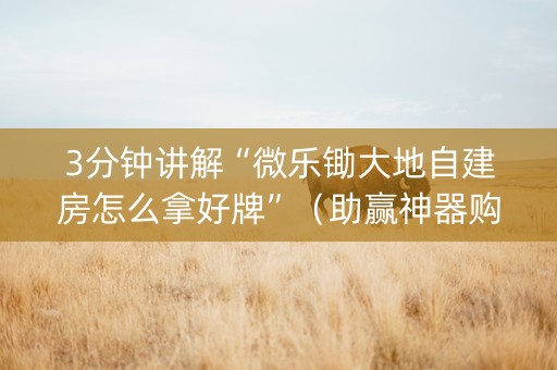 3分钟讲解“微乐锄大地自建房怎么拿好牌”（助赢神器购买)