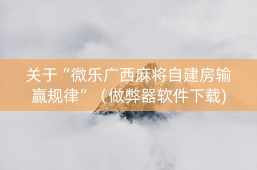 关于“微乐广西麻将自建房输赢规律”（做弊器软件下载)